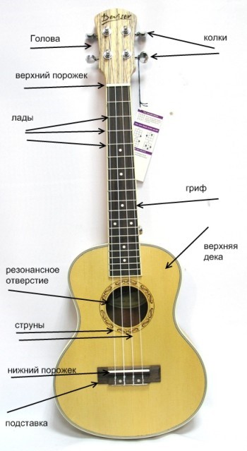 Проект про укулеле