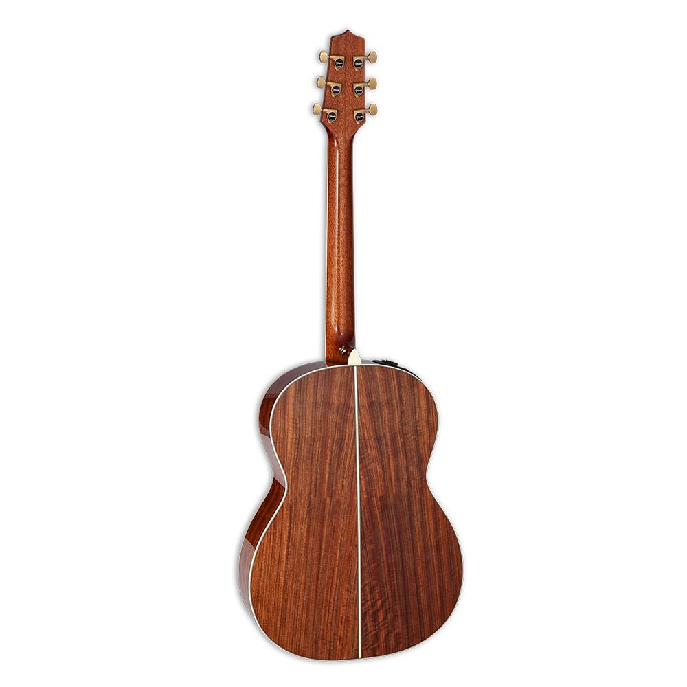 Электроакустическая гитара Takamine LTD2020 Peace (арт.LTD2020) Купить ...