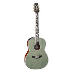 Электроакустическая гитара Takamine LTD2020 Peace