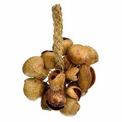 Шейкер Toca TO804444 Seed Shell Shaker