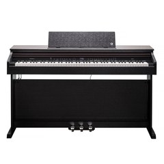 Цифровое пианино Kurzweil CUP E1 SR