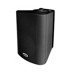 Настенный громкоговоритель DSPPA WL313B