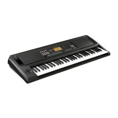 Синтезатор Korg Entertainer Keyboard EK-50