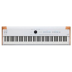 Профессиональный синтезатор Arturia AstroLab 88