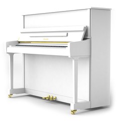 Акустическое пианино Ritmuller RS120 A112