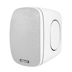 Настенный громкоговоритель DSPPA DSP6050W