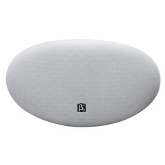 Пассивная настенная акустическая система BETA 10" QS1000