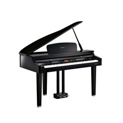 Цифровой рояль Kurzweil  MPG100