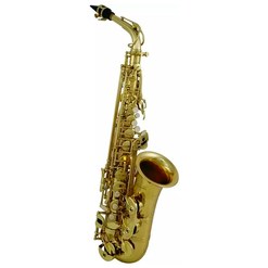 Саксофон альт Roy Benson AS-302