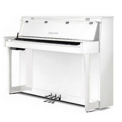 Гибридное цифровое пианино Pearl River C101B A112