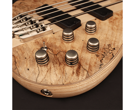 Бас гитара Cort  A5 Plus SCMS OPTG, изображение 6