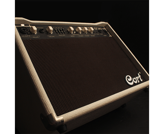 Комбоусилитель для электроакустической гитары Cort AF 30, изображение 3