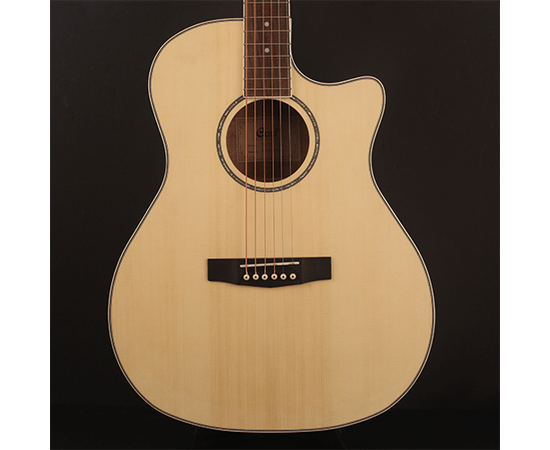 Тип корпуса: Grand Auditorium