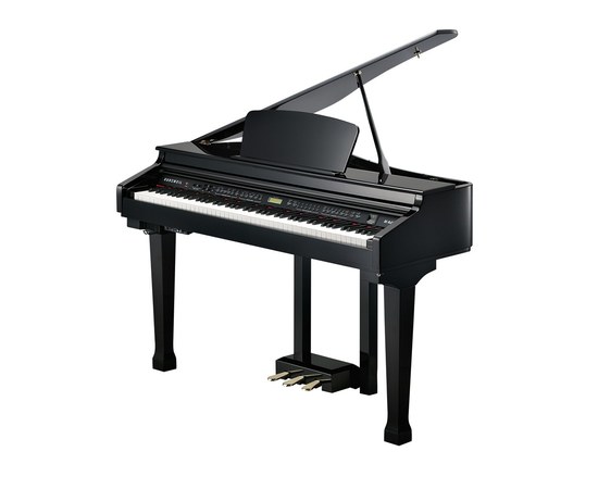 Цифровой рояль Kurzweil KAG100 EP, изображение 2