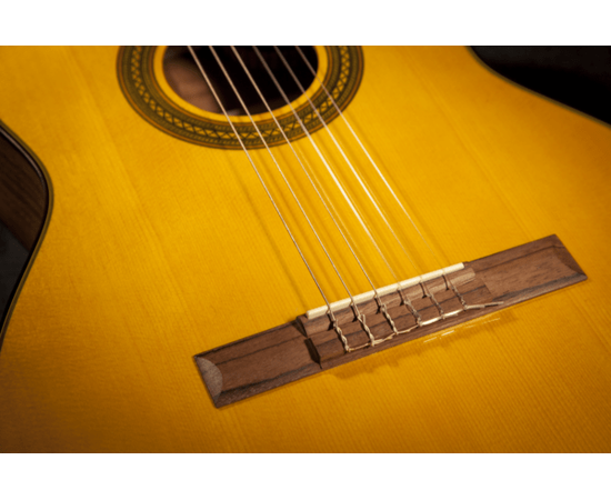Электроакустическая гитара Takamine Classical Body GC1CE, изображение 3