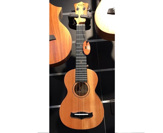 Укулеле сопрано Enya EUS-25D, изображение 4