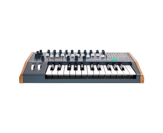 Аналоговый моносинтезатор Arturia MiniBrute 2, изображение 2