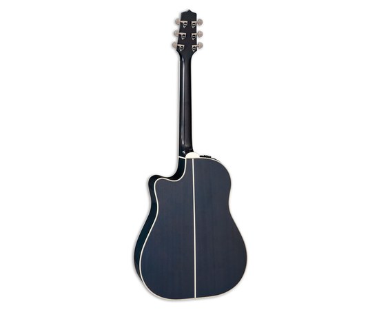 Электроакустическая гитара Takamine LTD2021 Blue Rose, изображение 2
