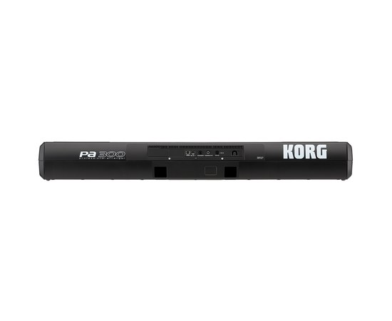 Синтезатор Korg Arrangers PA300, изображение 4