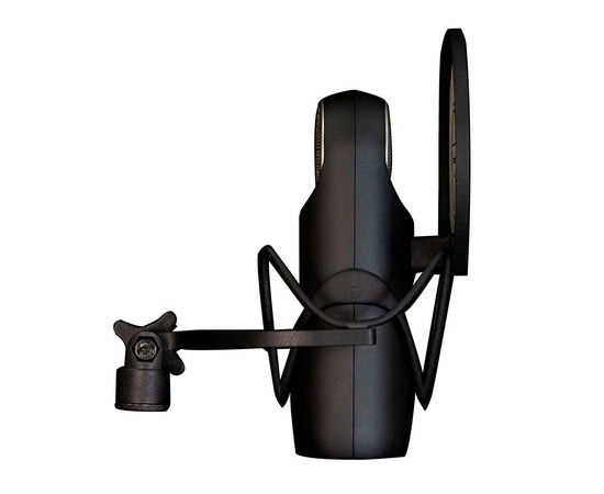 Студийный микрофон Aston Element, изображение 4