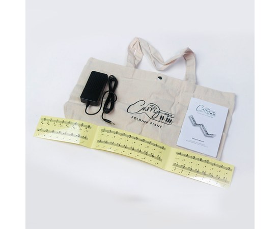 Складное цифровое пианино Blackstar Carry On 88, изображение 8