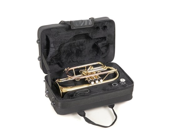 Корнет Roy Benson CR-202, изображение 2