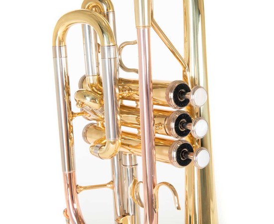 Корнет Roy Benson CR-202, изображение 4