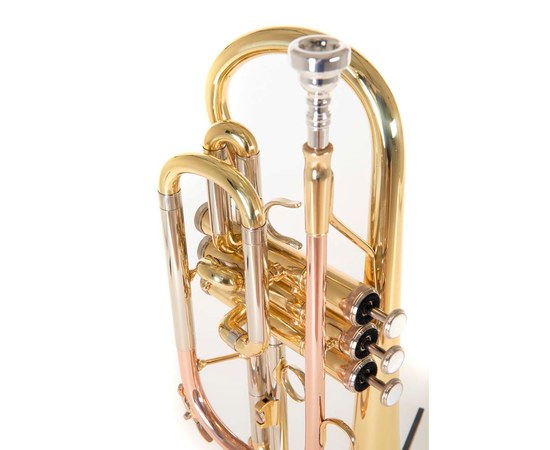 Корнет Roy Benson CR-202, изображение 5