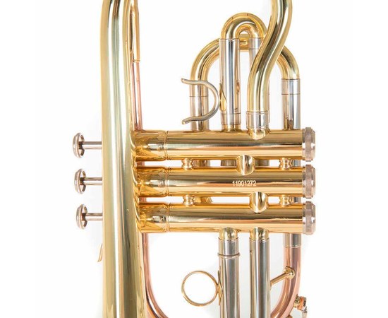 Корнет Roy Benson CR-202, изображение 6