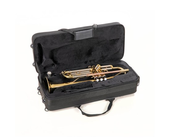 Труба Roy Benson TR-202, изображение 2