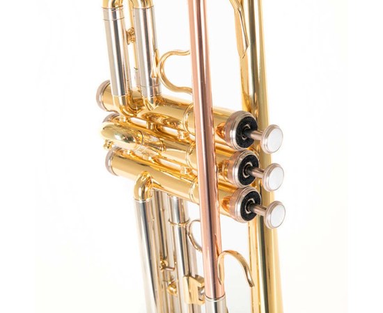 Труба Roy Benson TR-202, изображение 3