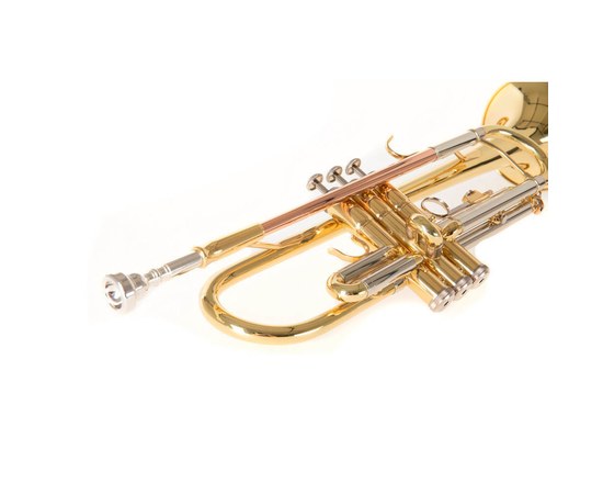 Труба Roy Benson TR-202, изображение 4