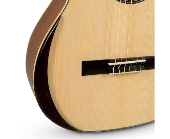 Классическая гитара Manuel Rodriguez Serie Ecologia E-65, изображение 5