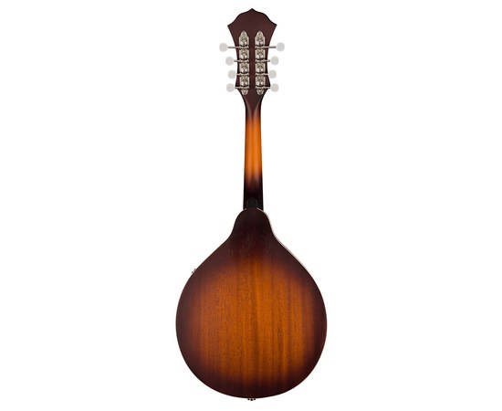 Мандолина Fender PM-180E Aged Cognac Burst, изображение 2