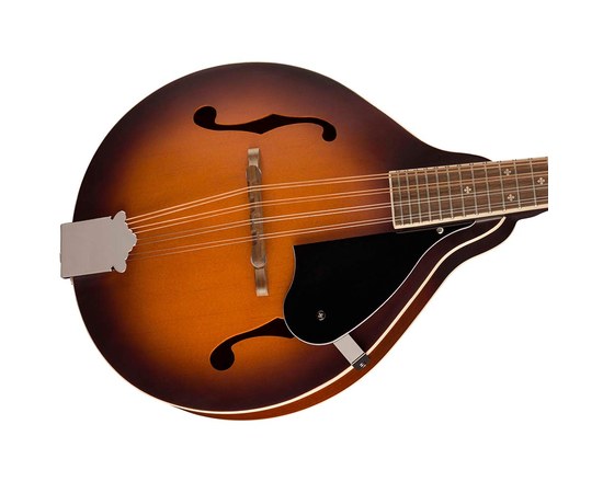 Мандолина Fender PM-180E Aged Cognac Burst, изображение 3