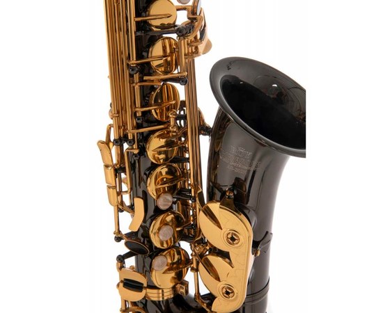Саксофон альт Roy Benson AS-202K, изображение 2