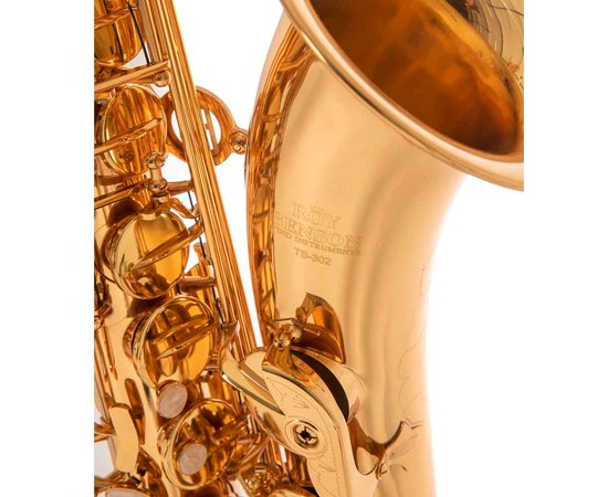 Саксофон тенор Roy Benson TS-302, изображение 2