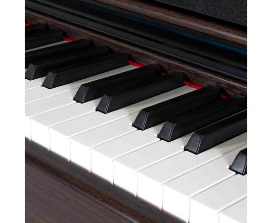 Цифровое пианино Gewa Digital Piano DP345 Rosewood, изображение 3