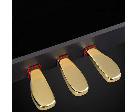 Цифровое пианино Casio Celviano GP-510BPC7, изображение 4