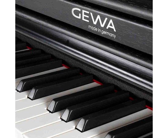Цифровое пианино Gewa Digital Piano UP365 Black, изображение 4