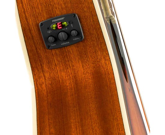 Электроакустическая бас-гитара Fender FA-450CE Bass 3-Color Sunburst, изображение 5