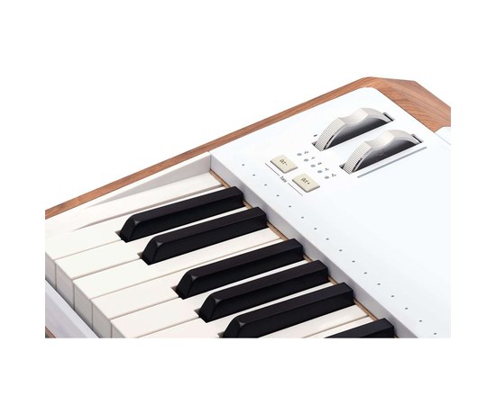 Профессиональный синтезатор Arturia AstroLab 61, изображение 8