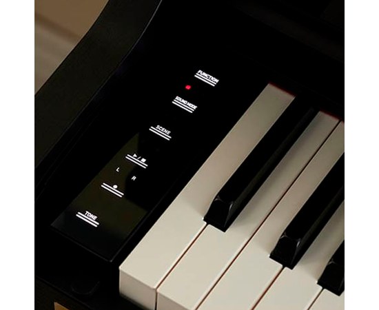 Цифровое пианино Casio Celviano AP-750BKC7, изображение 2