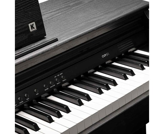 Цифровое пианино Kurzweil CUP E1 BK, изображение 3