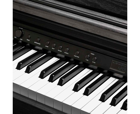 Цифровое пианино Kurzweil CUP E1 BK, изображение 5