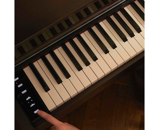 Цифровое пианино Casio Celviano AP-S450BNC7, изображение 3