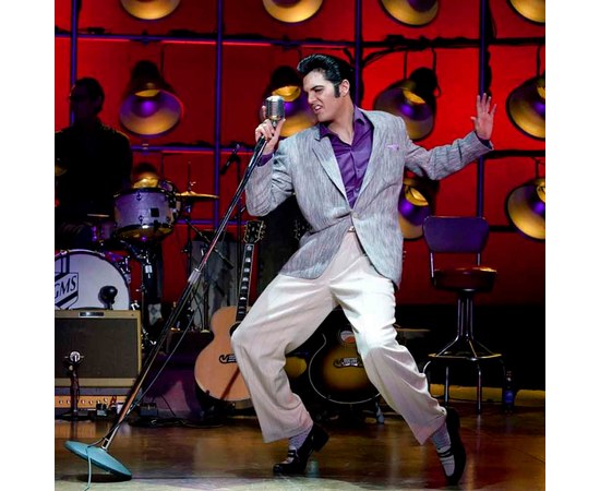 Вокальный микрофон Shure 55SH SERIES II, изображение 2