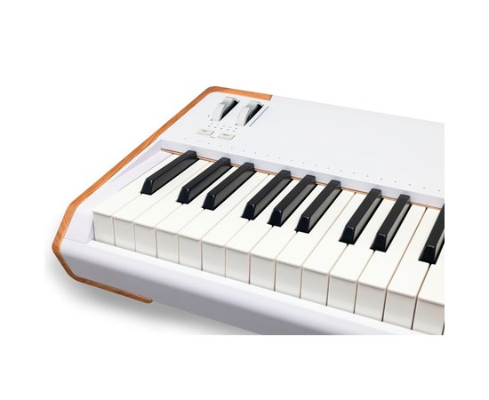 Профессиональный синтезатор Arturia AstroLab 88, изображение 6