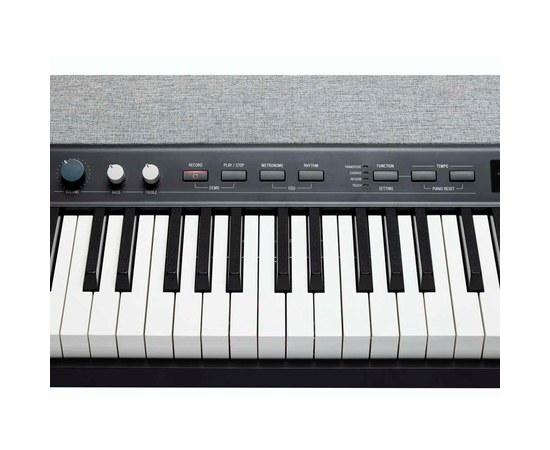 Цифровое пианино Kurzweil KAP1LB, изображение 4