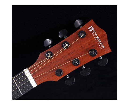Акустическая гитара Caesar WL-700-N-W, изображение 6